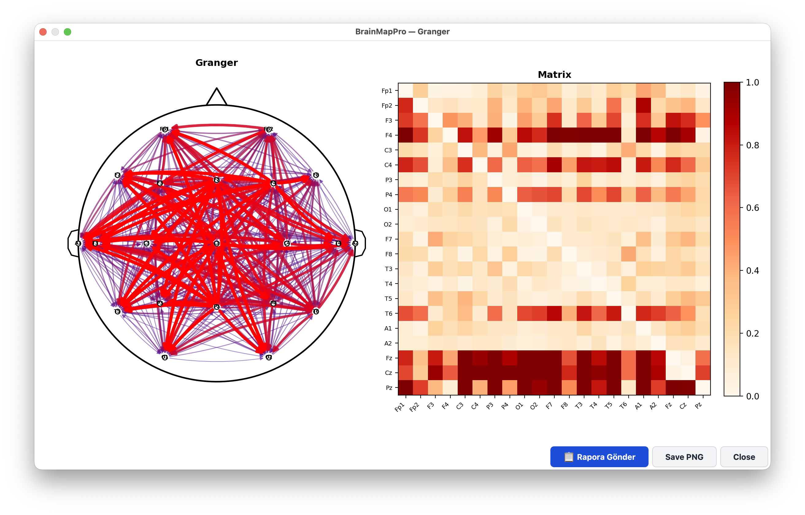 Granger causality directed connectivity analysis