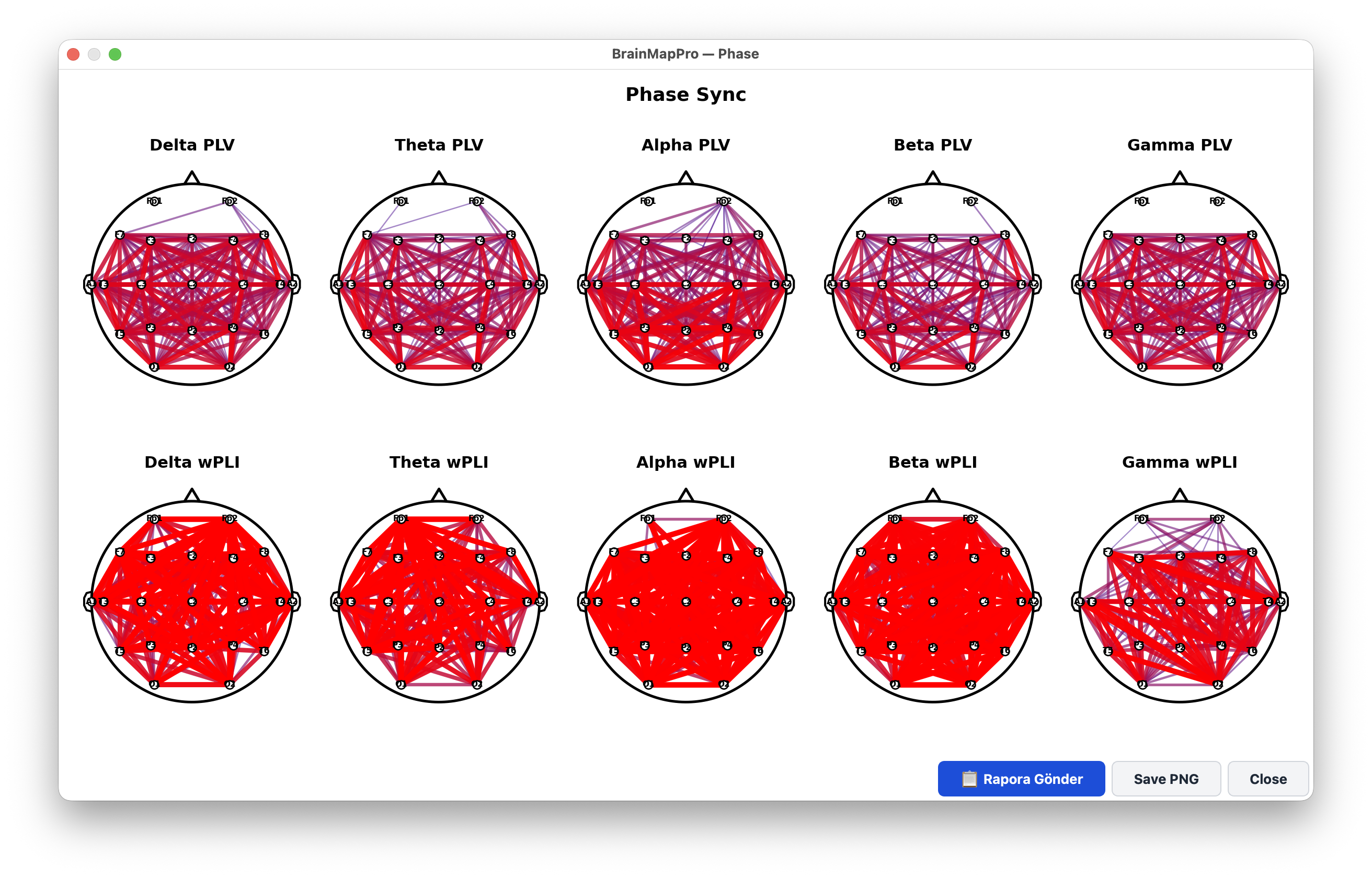 Phase Locking Value and weighted Phase Lag Index
